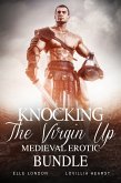 Knocking The Virgin Up Medieval Erotic Bundle (eBook, ePUB)