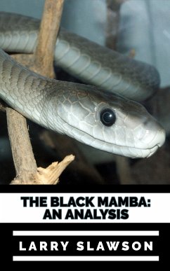 The Black Mamba (eBook, ePUB) - Slawson, Larry