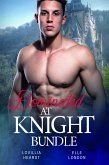 Dominated At Knight Bundle (eBook, ePUB)