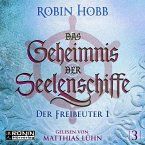 Das Geheimnis der Seelenschiffe 3