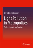 Light Pollution in Metropolises (eBook, PDF)