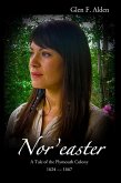 Nor'easter (eBook, ePUB)