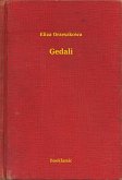 Gedali (eBook, ePUB)