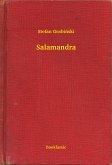 Salamandra (eBook, ePUB)