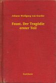Faust. Der Tragödie erster Teil (eBook, ePUB)