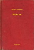Slepy tor (eBook, ePUB)