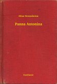 Panna Antonina (eBook, ePUB)