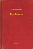 Dwa bieguny (eBook, ePUB)