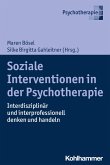Soziale Interventionen in der Psychotherapie (eBook, ePUB)