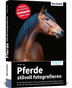 Pferde stilvoll fotografieren - Wiebke, Haas