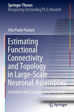 Estimating Functional Connectivity and Topology in Large-Scale Neuronal Assemblies - Pastore, Vito Paolo