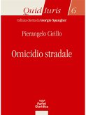 Omicidio stradale (eBook, ePUB)