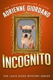 Incognito (A Lucie Rizzo Mystery, #7) (eBook, ePUB)