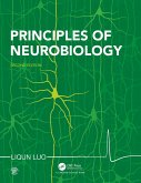 Principles of Neurobiology (eBook, ePUB) Principles of Neurobiology (eBook, ePUB)