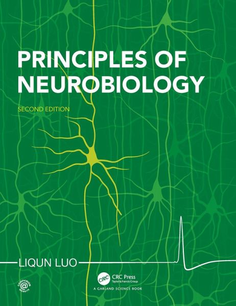 Principles of Neurobiology (eBook, ePUB) Principles of Neurobiology (eBook, ePUB)