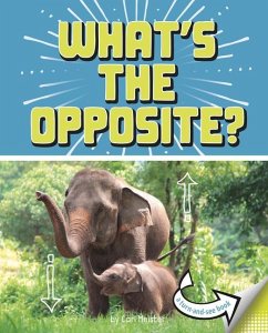 What's the Opposite?: A Turn-And-See Book - Meister, Cari