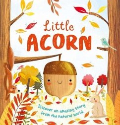 Nature Stories: Little Acorn: Padded Board Book - Igloobooks