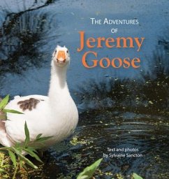 The Adventures of Jeremy Goose - Sancton, Sylvaine