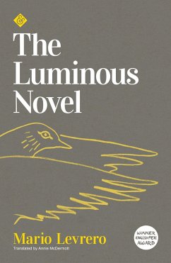 Luminous Novel - Levrero, Mario