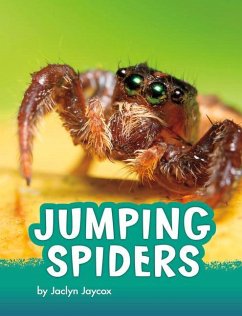 Jumping Spiders - Jaycox, Jaclyn