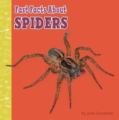 Fast Facts about Spiders - Garstecki-Derkovitz, Julia