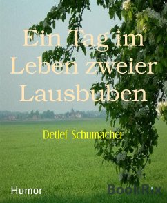 Ein Tag im Leben zweier Lausbuben (eBook, ePUB) - Schumacher, Detlef