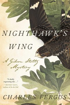 Nighthawk's Wing: A Gideon Stoltz Mystery - Fergus, Charles