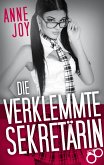 Die verklemmte Sekretärin (eBook, ePUB)