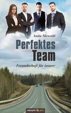 Perfektes Team (eBook, ePUB) - Mirwald, Anita