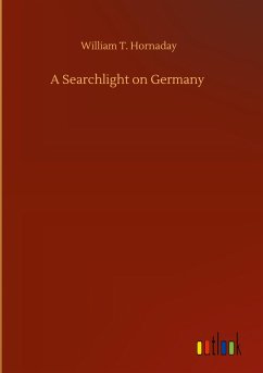 A Searchlight on Germany