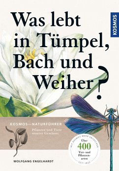 Was lebt in Tümpel, Bach und Weiher (eBook, PDF) - Engelhardt, Wolfgang; Martin, Peter; Rehfeld, Klaus