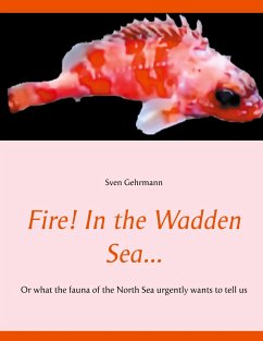 Fire! In the Wadden Sea... - Gehrmann, Sven