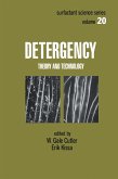 Detergency (eBook, ePUB)