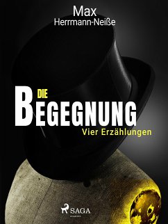 Die Begegnung. Vier Erzählungen (eBook, ePUB) - Herrmann-Neisse, Max