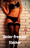 Geiler fremder Stecher (eBook, ePUB)