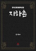 지하촌 (eBook, ePUB)