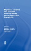 Migration, Transfers and Economic Decision Making among Agricultural Households (eBook, ePUB)
