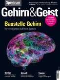 Gehirn&Geist 9/2020 Baustelle Gehirn (eBook, PDF)