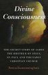 Divine Consciousness (eBook, ePUB) - Bild 1