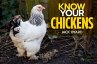 Know Your Chickens (eBook, ePUB) - Bild 1