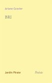 Bri (eBook, ePUB)