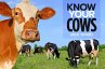Know Your Cows (eBook, ePUB) - Bild 1