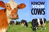 Know Your Cows (eBook, ePUB)