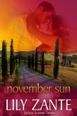 November Sun (Italian Summer, #5) (eBook, ePUB)