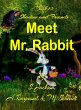 Shadow and Friends Meet Mr. Rabbit - Bild 1