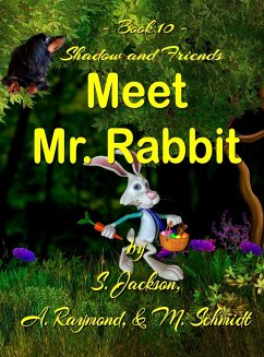 Shadow and Friends Meet Mr. Rabbit - Schmidt, Mary L; Jackson, S.; Raymond, A.