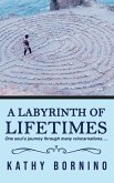 A Labyrinth of Lifetimes