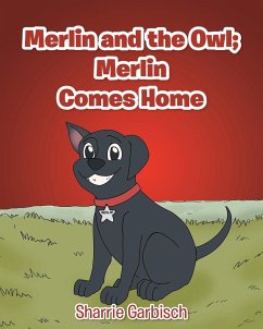 Merlin and the Owl - Garbisch, Sharrie