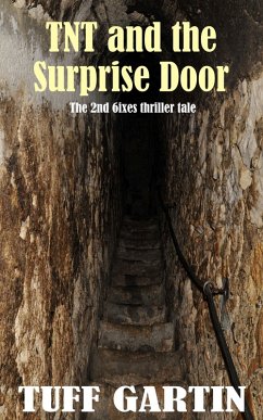 Cover TNT and the Surprise Door (eBook, ePUB)
