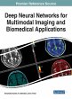 Deep Neural Networks for Multimodal... - Bild 1